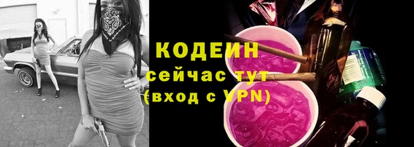 дживик Горняк