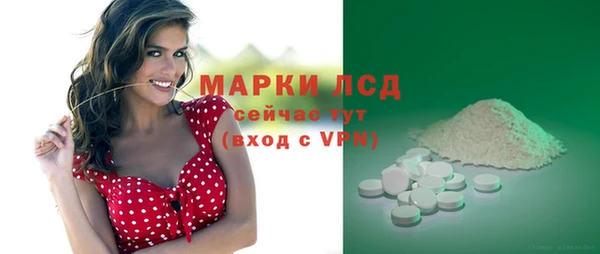 дживик Горняк