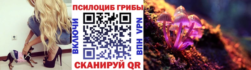где купить наркоту Горячий Ключ Псилоцибиновые грибы Psilocybe